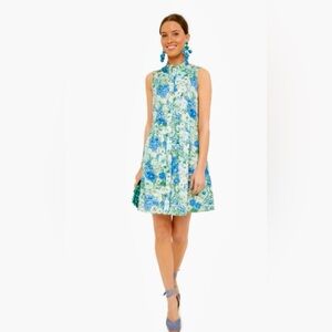 Tuckernuck Jardin De Fleurs Sleeveless Royal Shirt Dress